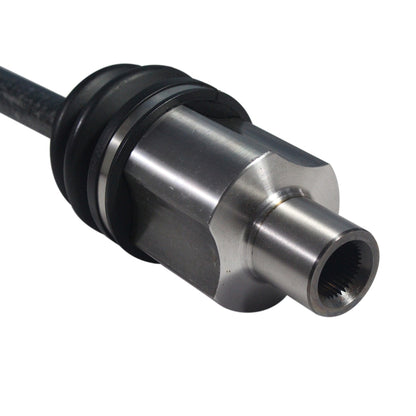 NCV11028_4.jpg