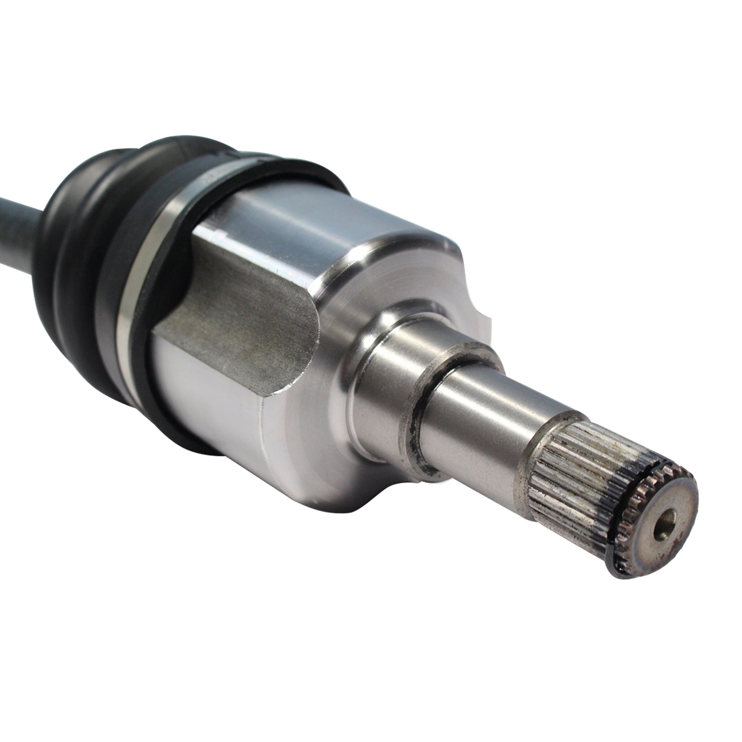 NCV11129_4.jpg