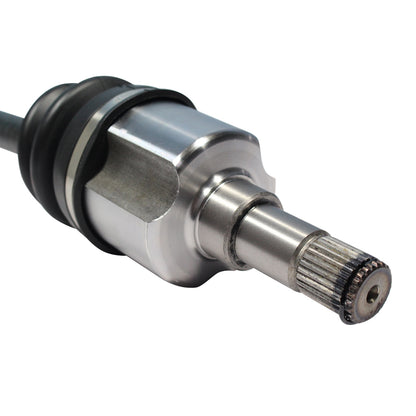 NCV11129_4.jpg