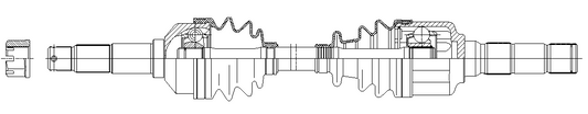 4103006.jpg