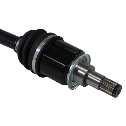 PR49047_4.jpg