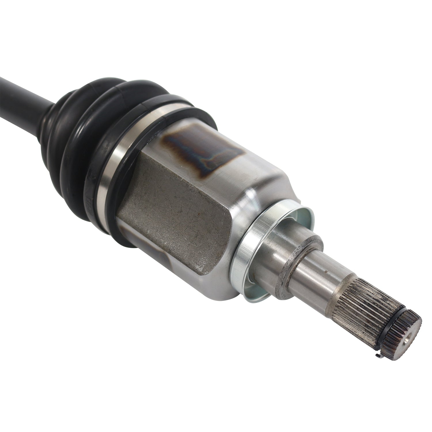 NCV11055_4.jpg