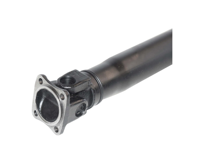 PS900250_2.jpg
