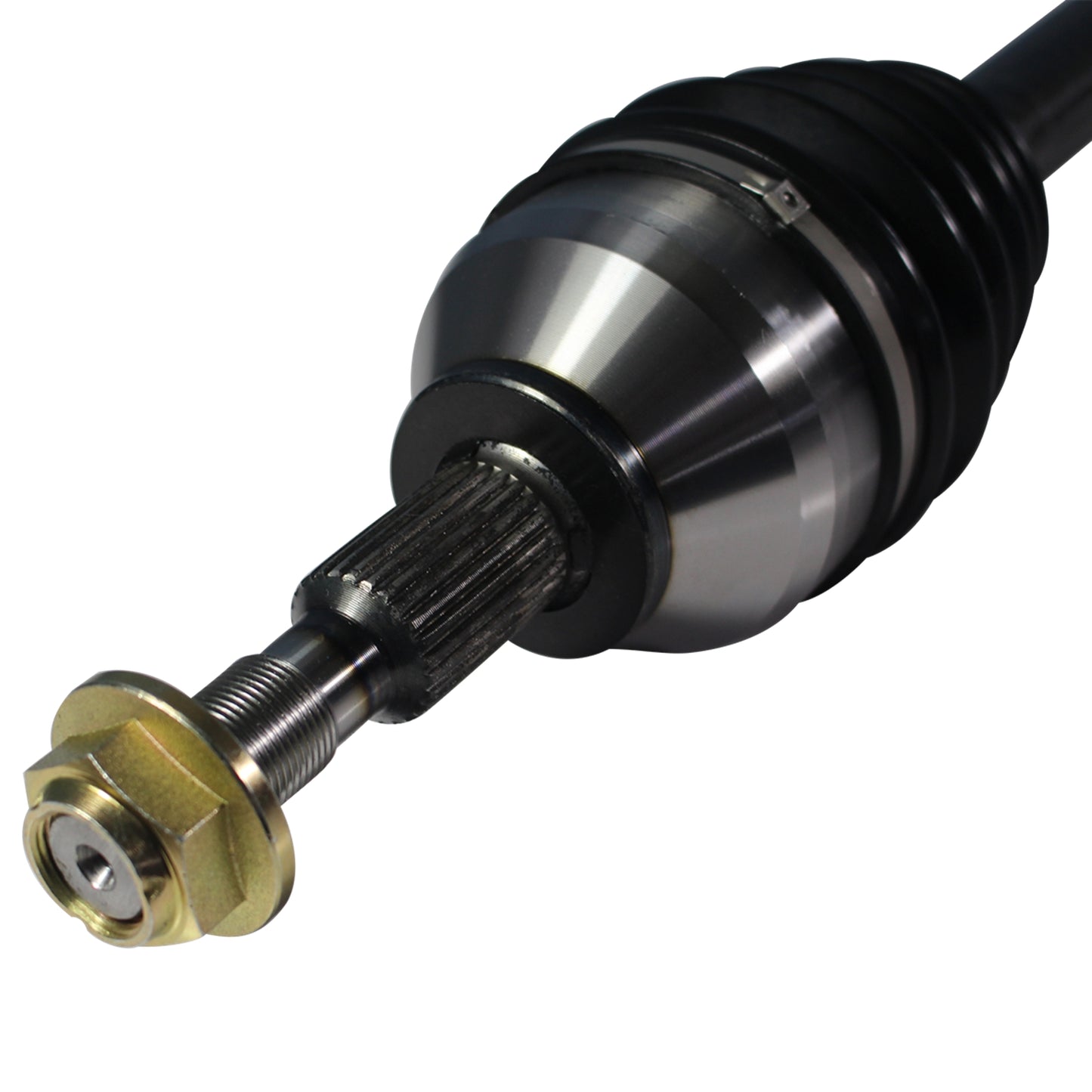 NCV11018_3.jpg