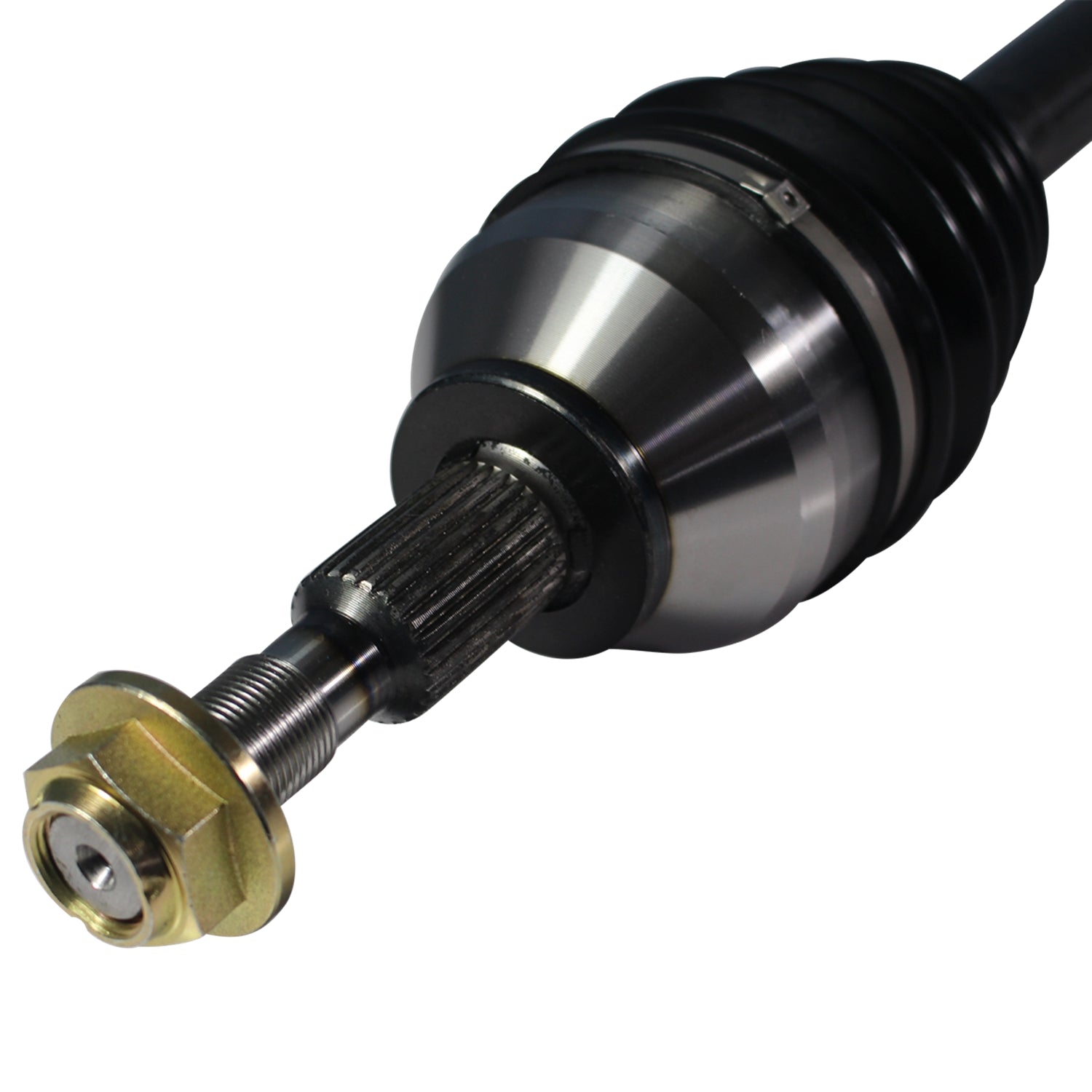 NCV11018_3.jpg