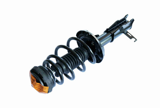 810048.jpg