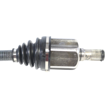 NCV82055_2.jpg